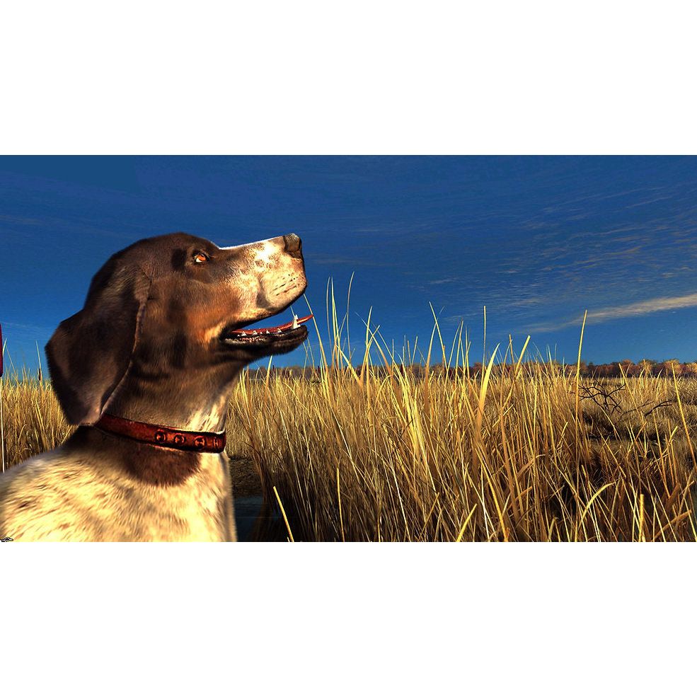 Raw Thrills Big Buck Hunter Reloaded Panorama Gun Shooting Arcade Game Online