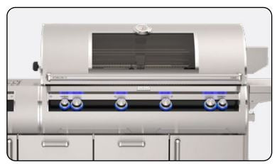 FireMagic E1060s Echelon 48" Portable Grill with Analog Thermometer, Power Burner and Magic View Window