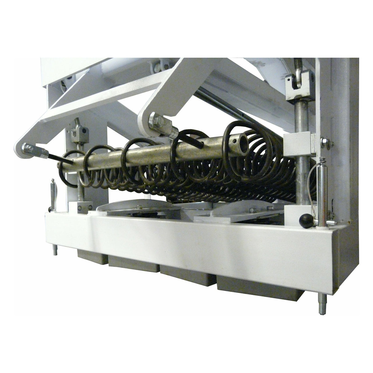 Bison T-REX Americana Automatic Portable Basketball Hoop BA898AGA