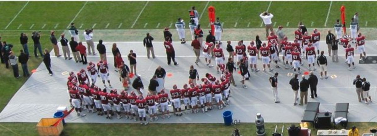 Trigon Sports 14 x 50 ft. Sideline Turf Protector FST1450