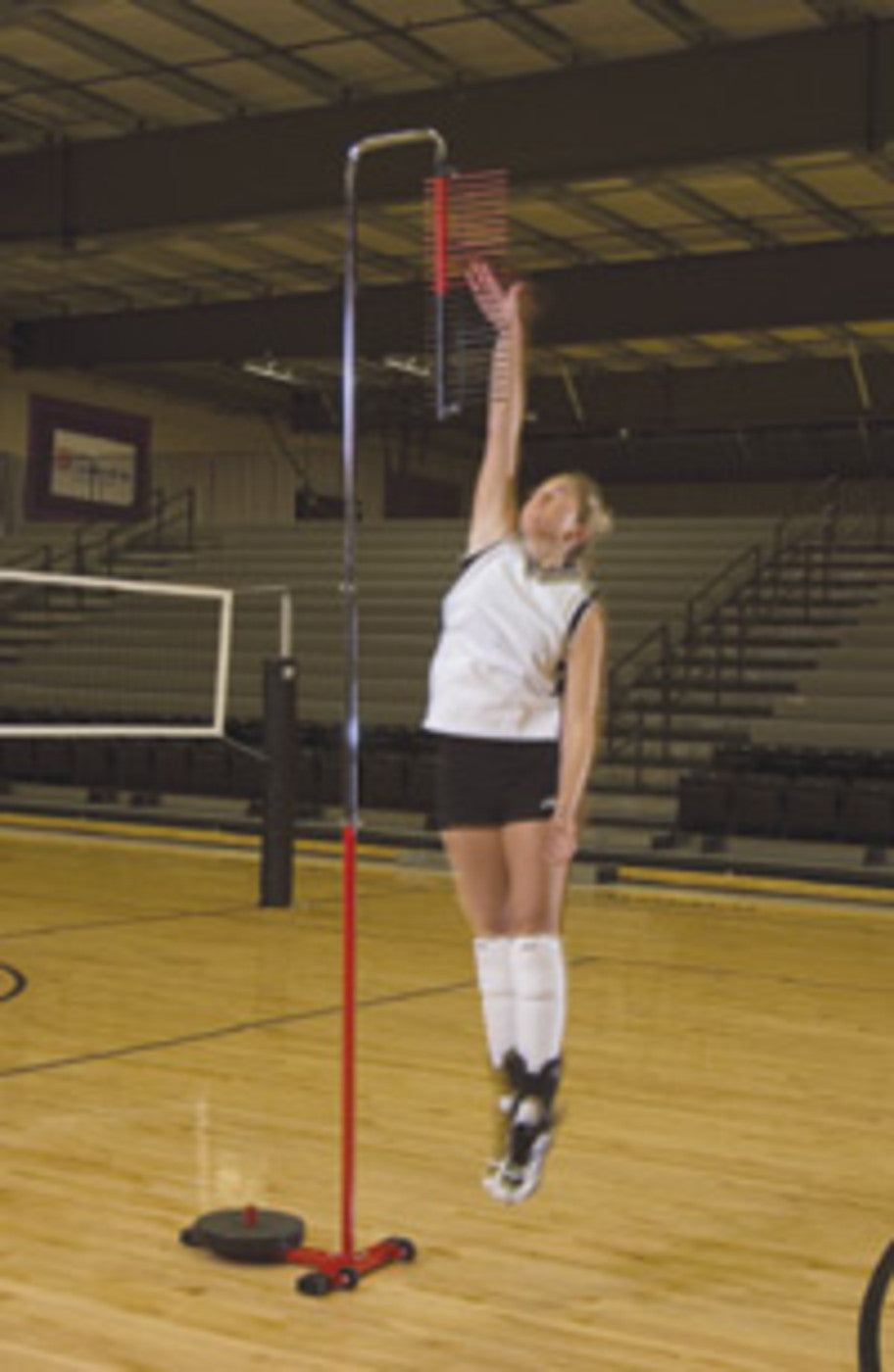 Trigon Sports Volleyball Vertical Challenger VBVERT
