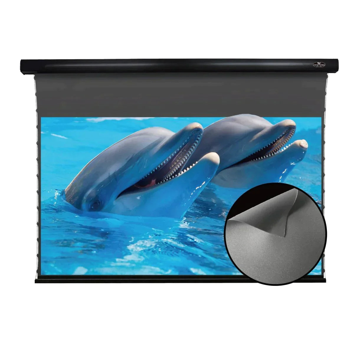 Vividstorm ALR Slimline Motorized Tension Obsidian Long Throw ALR Projector Screen