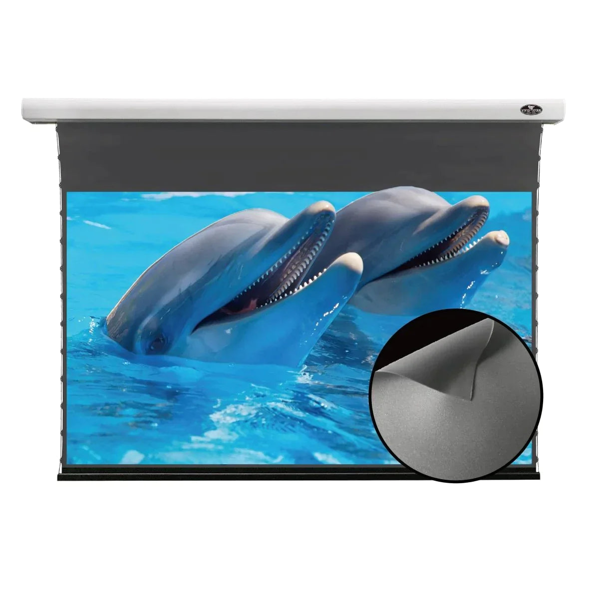 VIVIDSTORM ALR Slimline Obsidian Projector Screen