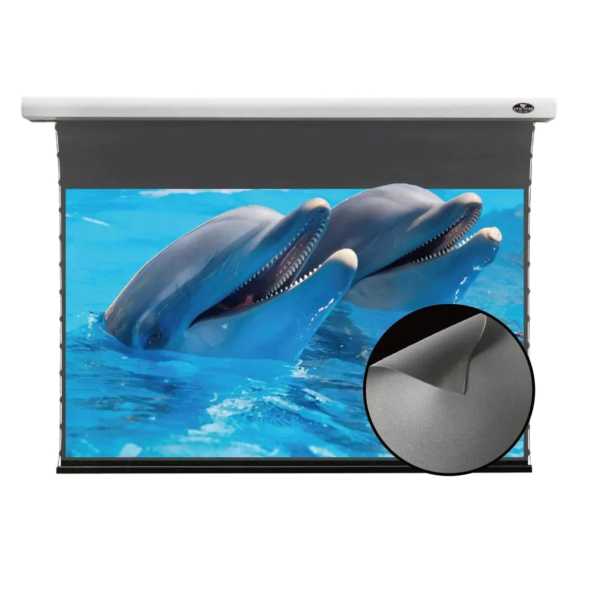 Vividstorm ALR Slimline Motorized Tension Obsidian Long Throw ALR Projector Screen
