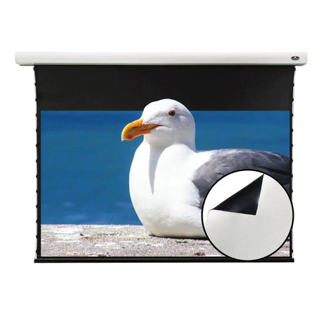 VIVIDSTORM White Cinema Projector Screen