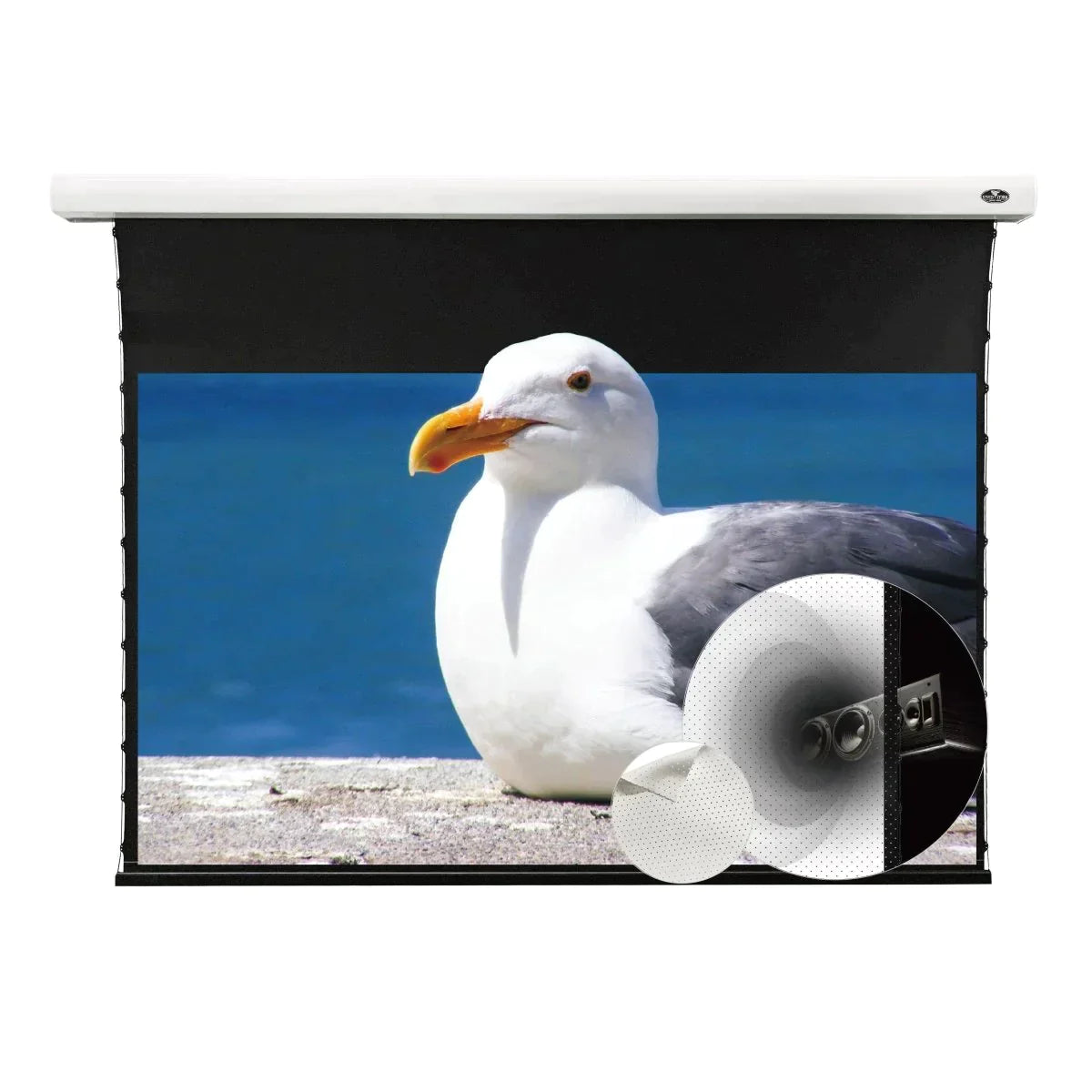 Vividstorm White Cinema Perforated Slimline Motorized Tension Projector Screen