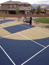 Dominator 60" Basketball Hoop 603-aa