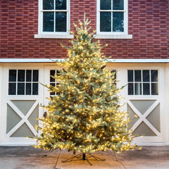 Park Hill Blue Spruce Christmas Tree, 12' XPQ82167