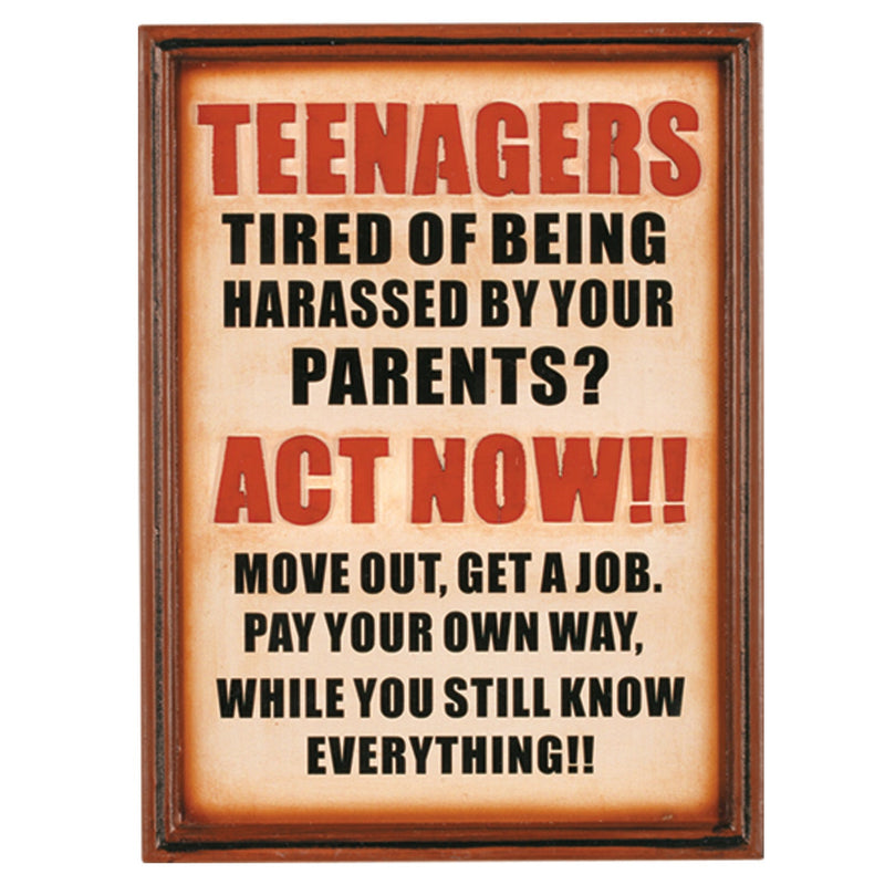 RAM Game Room Pub Sign Teenagers R821