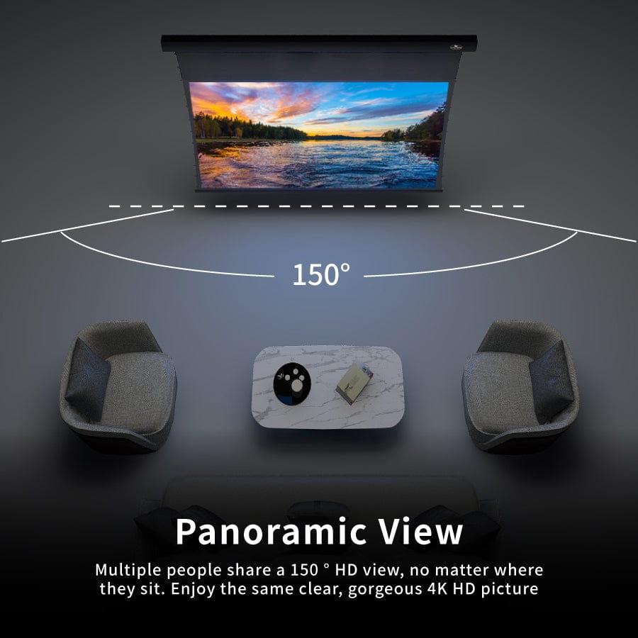 VIVIDSTORM Obsidian Slimline ALR P Screen