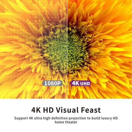 VIVIDSTORM ALR Slimline Obsidian Projector Screen