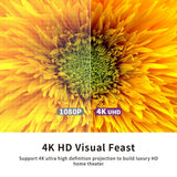 VIVIDSTORM White Cinema Projector Screen