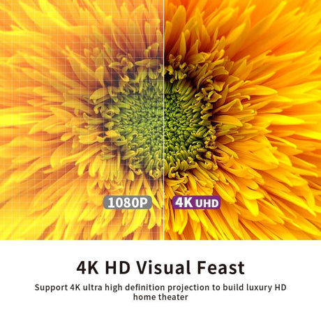 VIVIDSTORM White Cinema Projector Screen