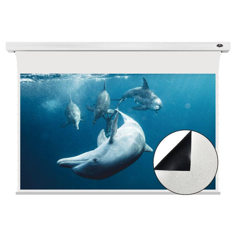 VIVIDSTORM White Cinema Projector Screen