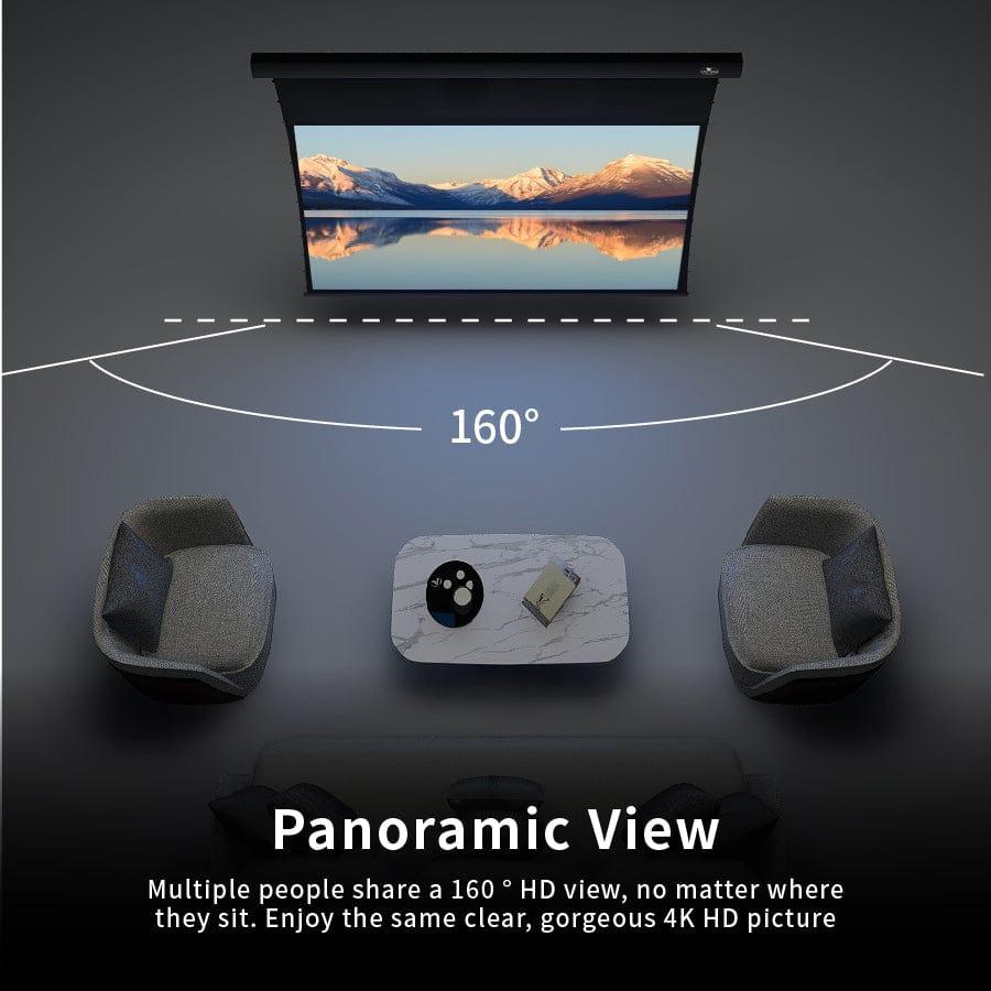 VIVIDSTORM White Cinema Projector Screen