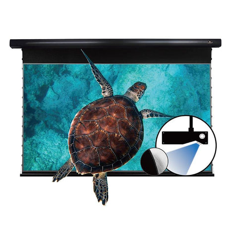 VIVIDSTORM PRO A Slimline - Motorized tension UST ALR screen 