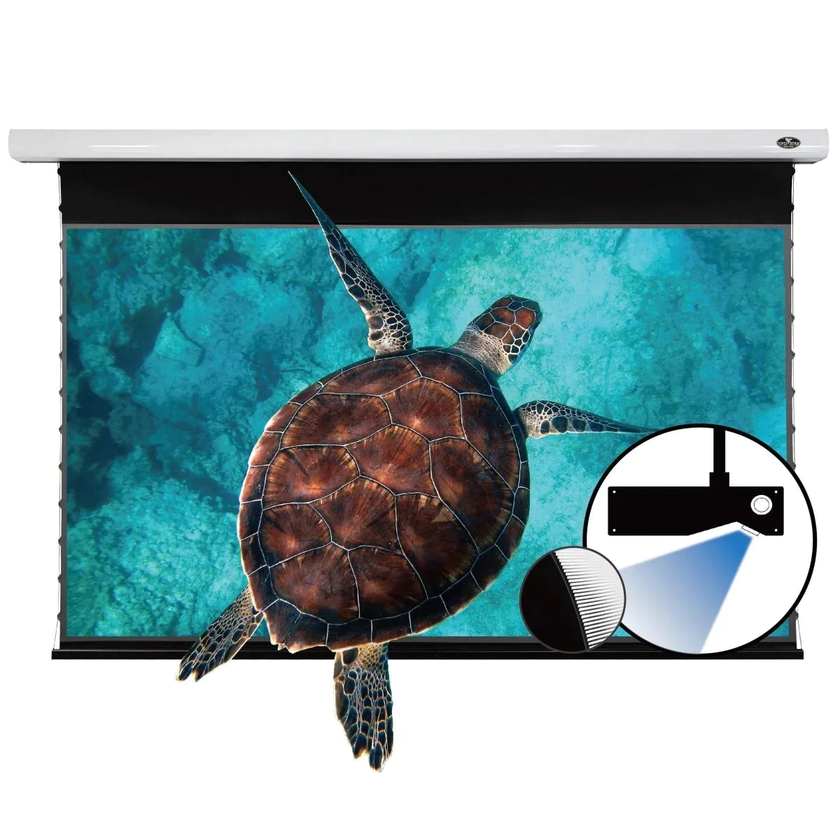 VIVIDSTORM PRO A Slimline - Motorized tension UST ALR screen 