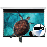 VIVIDSTORM PRO A Slimline - Motorized tension UST ALR screen 