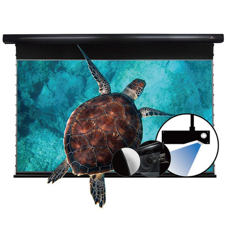 VIVIDSTORM UST ALR Projector Screen Home theater