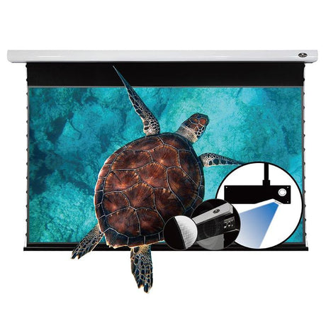 VIVIDSTORM UST ALR Projector Screen Home theater