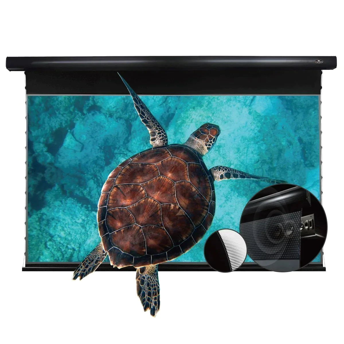 Vividstorm PRO P Slimline Motorized Tension UST ALR Projector Screen