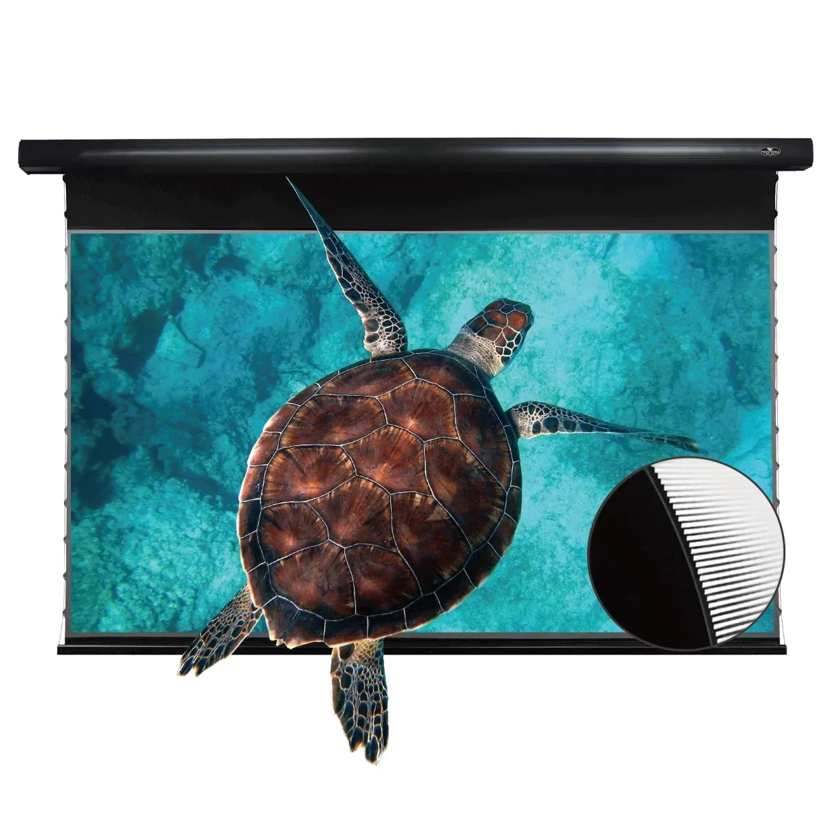 Vividstorm PRO Slimline Motorized Tension UST ALR Projector Screen