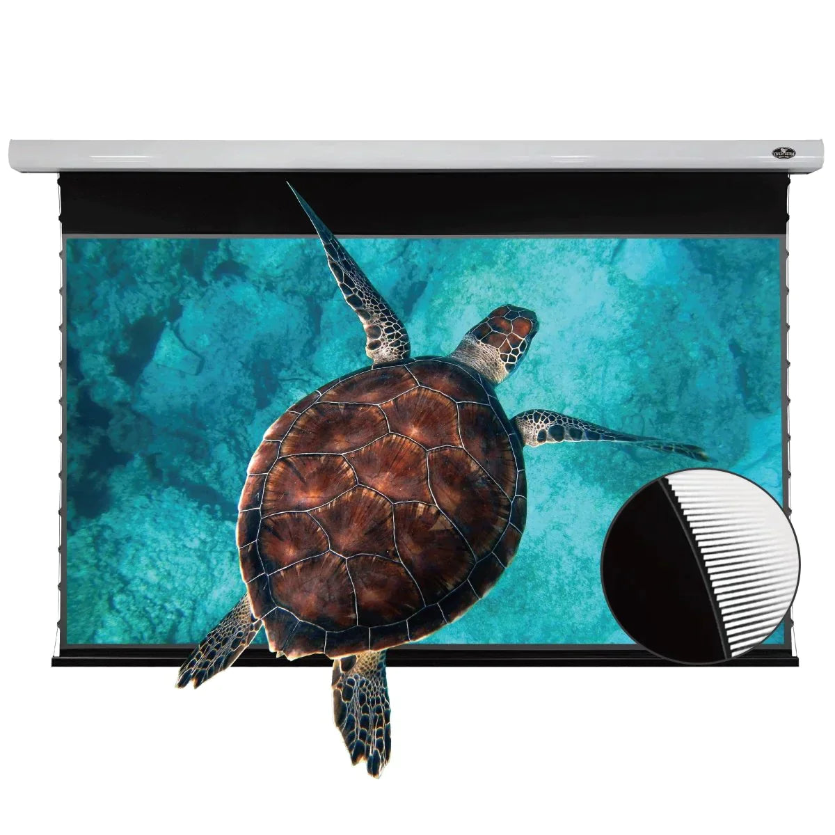 Vividstorm PRO Slimline Motorized Tension UST ALR Projector Screen