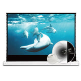 VIVIDSTORM S White Cinema Perforated Screen