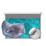 Vividstorm 3D ALR Slimline Motorized Tension 3D Projector Screen
