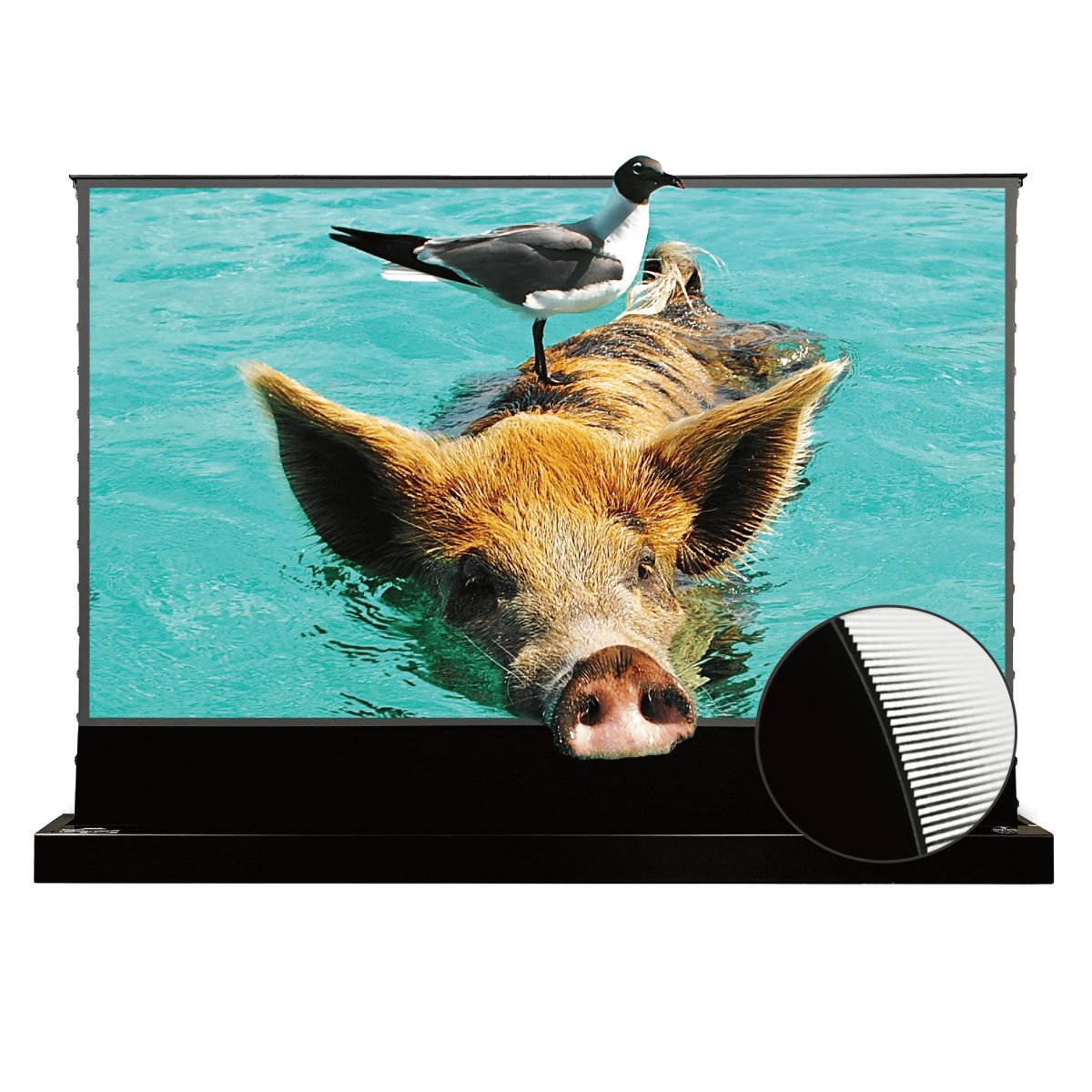 Vividstorm S PRO Motorized Tension Floor Rising UST ALR Projector Screen