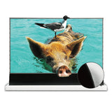 Vivid-Storm-Projector-Screen