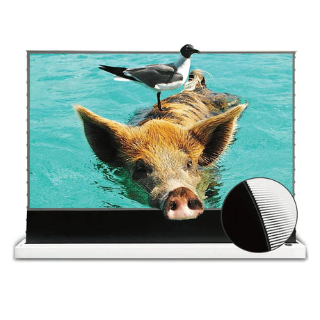 Vivid-Storm-Projector-Screen