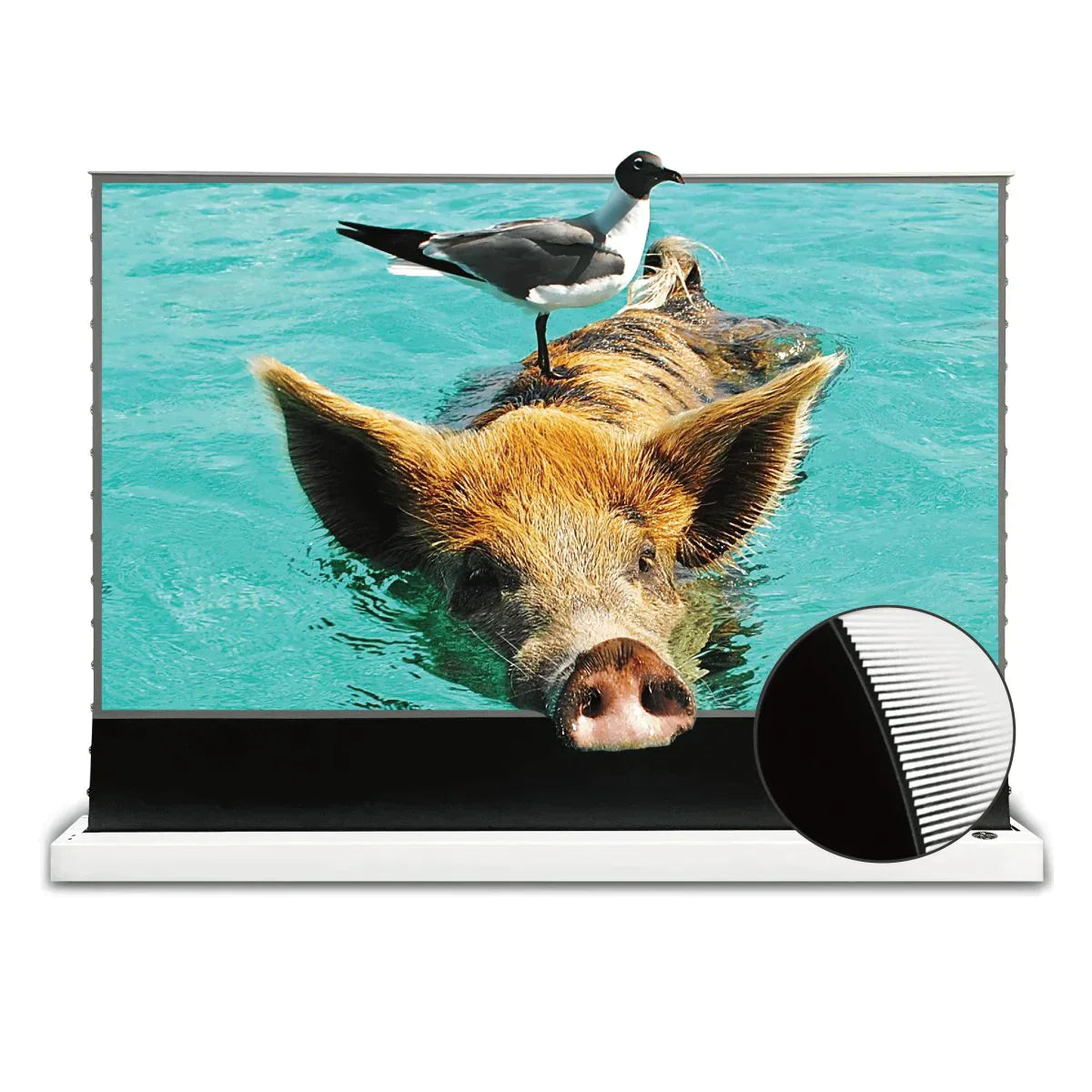 Vividstorm S PRO Motorized Tension Floor Rising UST ALR Projector Screen
